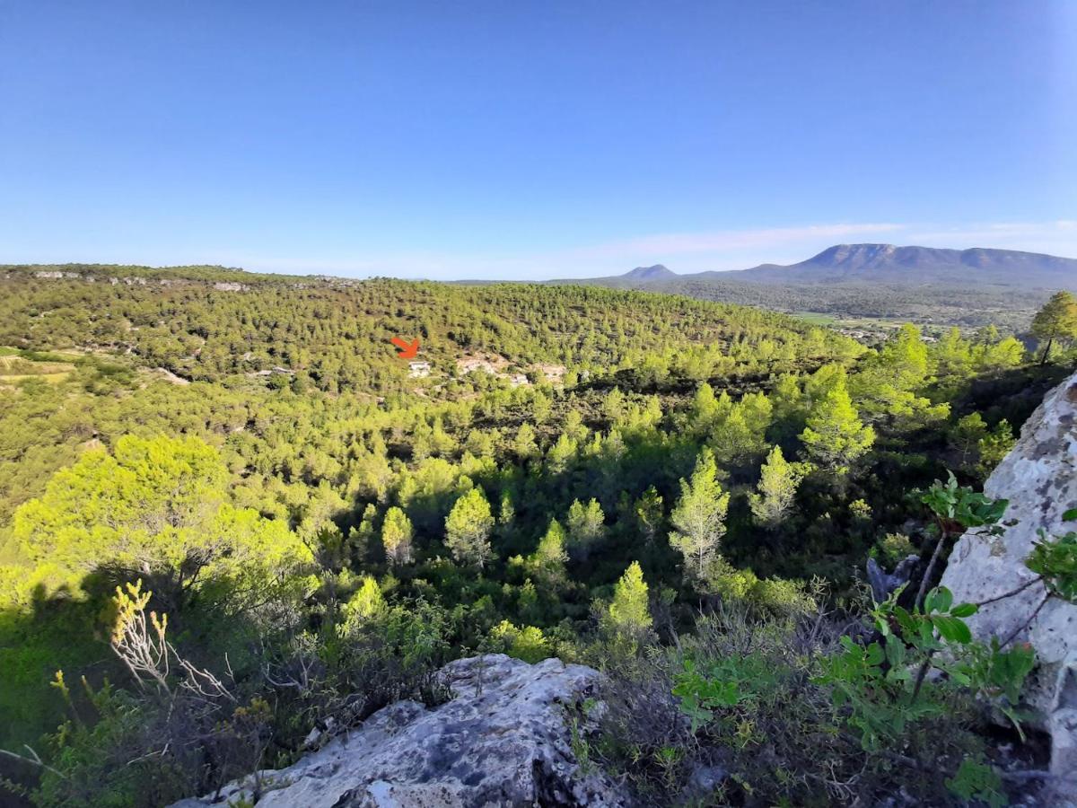 En Provence *